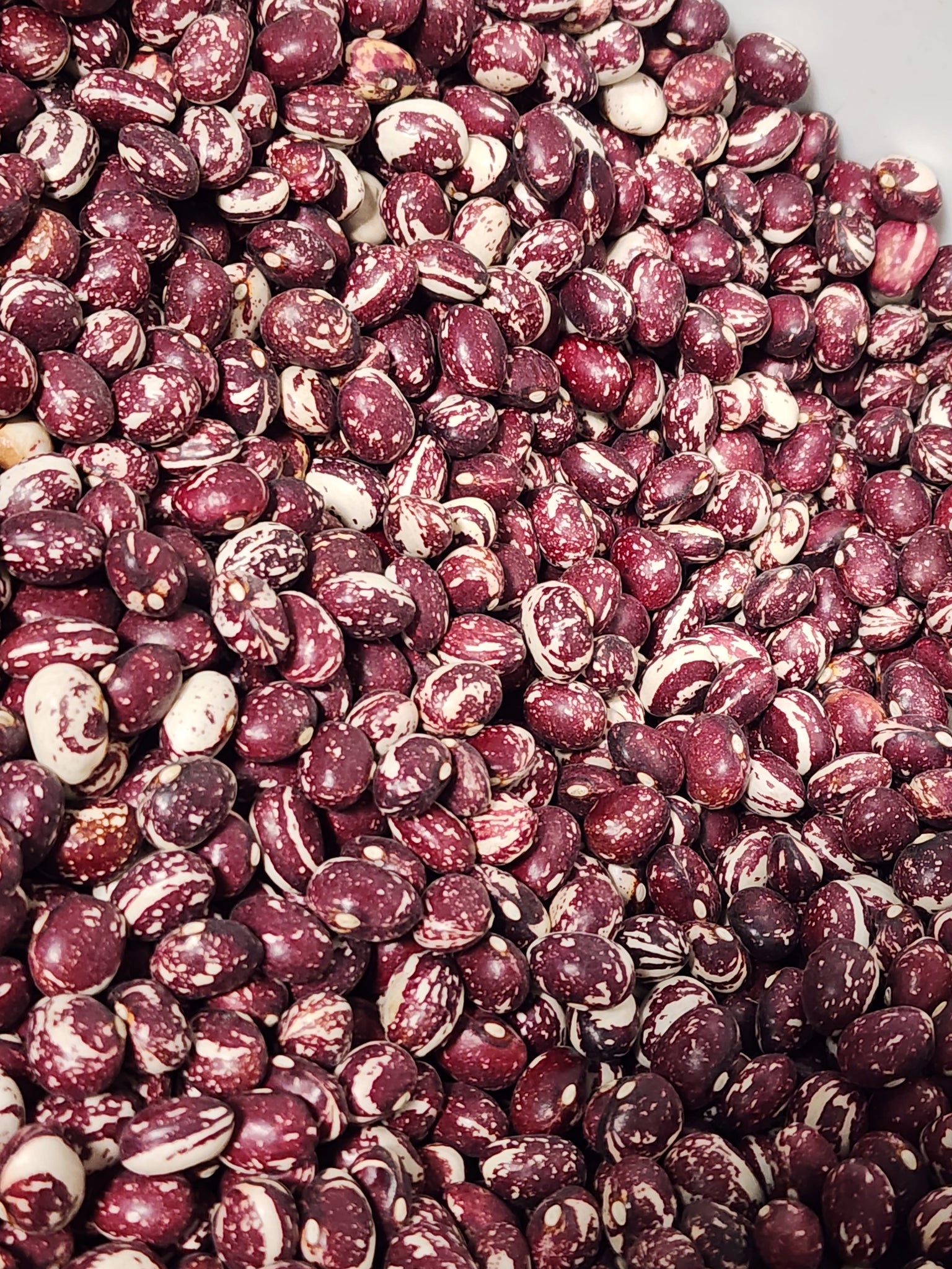 Santa Rita ranch house heirloom bean soup – skyislandspiceco